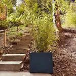 Tiny House - La De Tom Blaimont