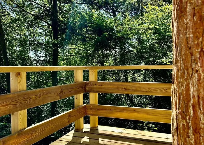 Tiny House - La De Tom Appartamento Blaimont