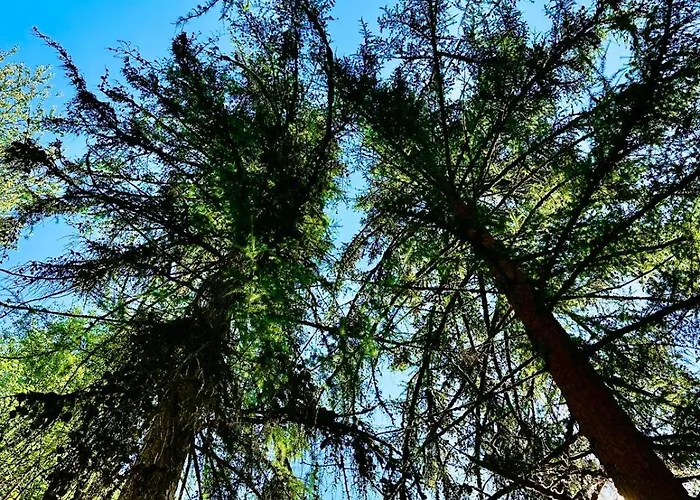 公寓 Tiny House - La De Tom *